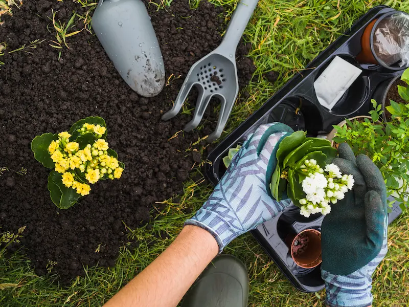 Jardinage & Bricolage